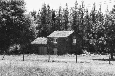 House on field by trees and plants