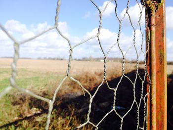 fence