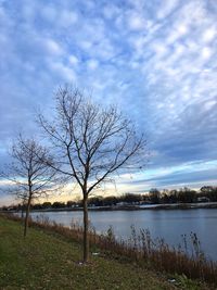 Bare tree by lake against sky