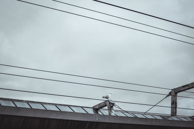 Low angle view of man working on bridge against sky