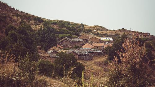 Houses amidst trees and buildings against sky