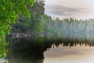 Scenic view of lake in forest against sky