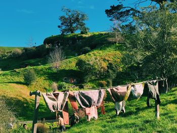 Clothes drying on clothesline against trees