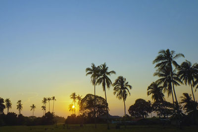 Silhouette palm trees against sky during sunset