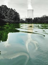 Reflection of trees in water