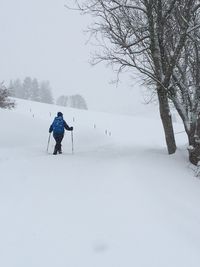 Rear view of person skiing on snow land