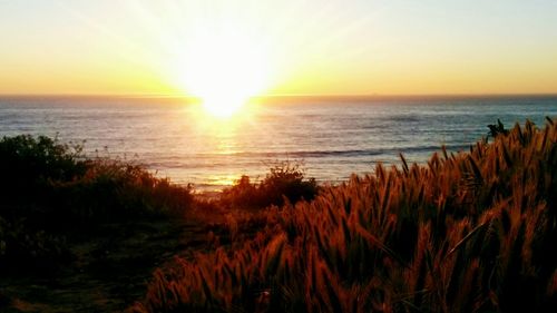 Scenic view of sea at sunset