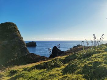 Scenic view of sea against clear sky