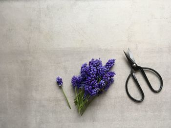 Directly above shot of purple flower on table