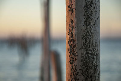 Close-up of wooden post at sea against sky