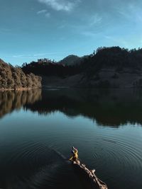 Man sitting on log in lake against trees