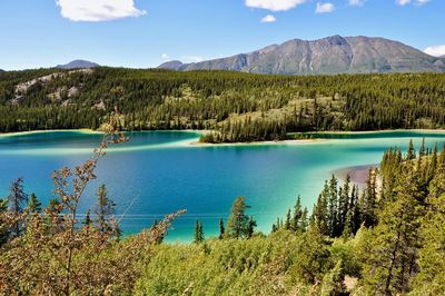 Scenic view of lake and trees against sky