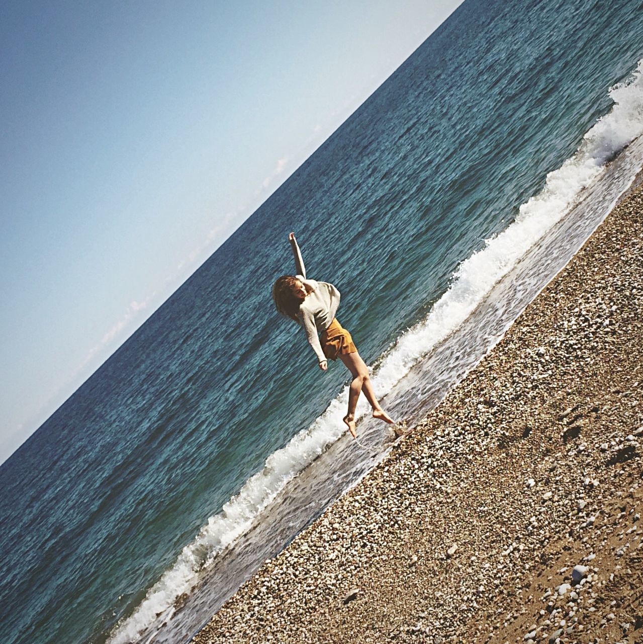 sea, horizon over water, one animal, animal themes, beach, water, shore, full length, dog, sky, sand, pets, sunlight, nature, bird, seagull, day, animals in the wild, clear sky, domestic animals