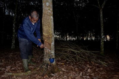 Full length of man standing in forest