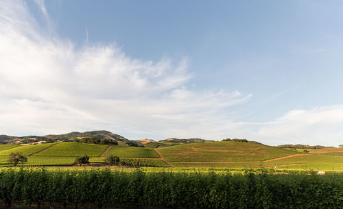 Scenic view of field against cloudy sky