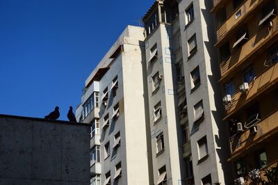 Low angle view of birds perching on building against clear sky