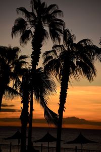 Silhouette palm trees by swimming pool against sky during sunset
