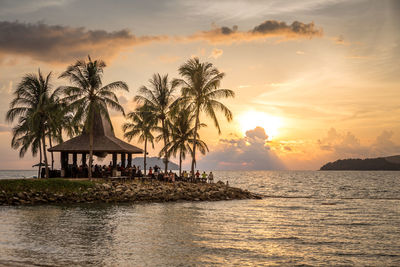 Palm trees at beach against sky during sunset