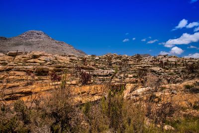 Scenic view of landscape against blue sky