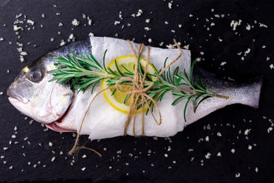 High angle view of dead fish against black background