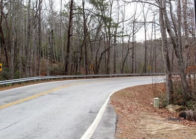 Road amidst trees in forest