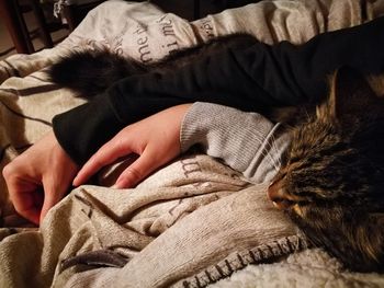 Midsection of a cat sleeping on bed