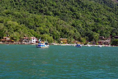 Scenic view of sea against trees in forest