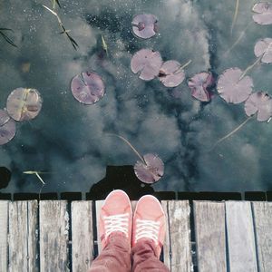 Low section of person standing on pier by leaves over lake