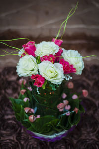 Close-up of pink flowers