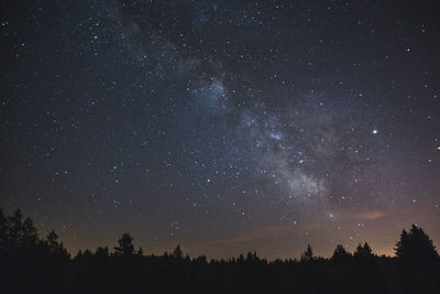 Low angle view of silhouette trees against sky at night