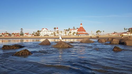 Historic hotel del coronado