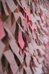 Close-up of padlocks hanging on paper