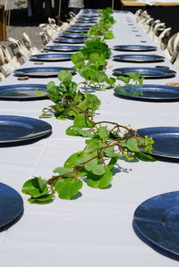 Close-up of plants on table