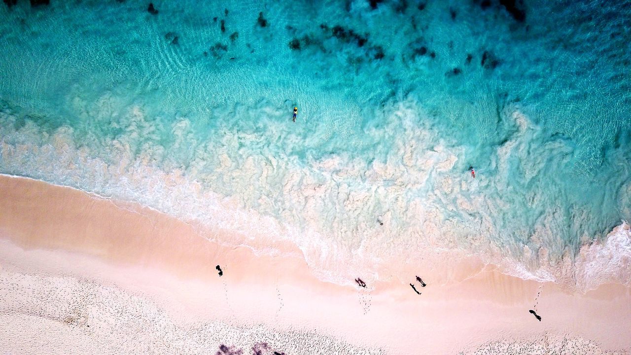 HIGH ANGLE VIEW OF BIRDS ON SHORE