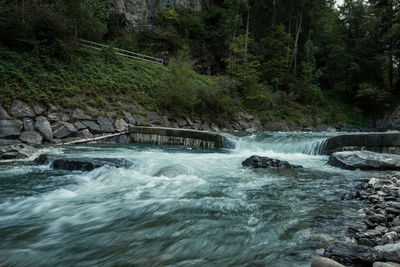 Scenic view of waterfall in forest