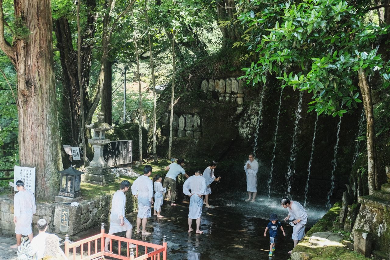 tree, plant, group of people, nature, water, men, women, jungle, day, adult, water feature, lifestyles, outdoors, waterfall, leisure activity, forest, growth, architecture, park, crowd, person, tree trunk, land