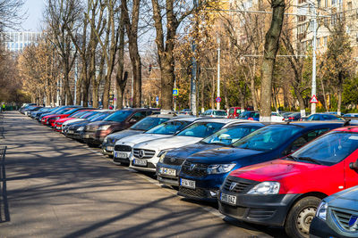 Vehicles on road along bare trees