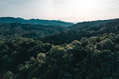 High angle view of plants and mountains against sky