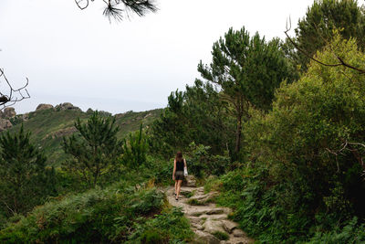 Rear view of woman walking against trees in forest