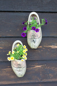 Potted plants on table