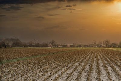 Scenic view of agricultural field against sky during sunset