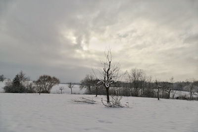 Bare trees on snow covered field against sky