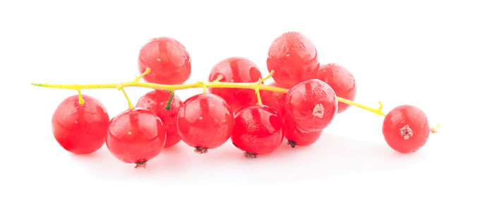 Close-up of red berries against white background