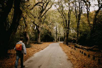 Rear view of man walking on road amidst trees