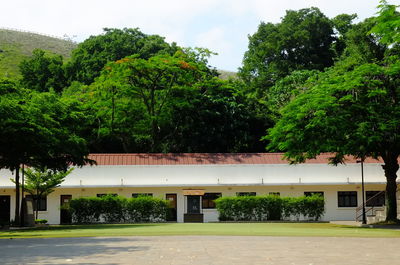 Trees by building against sky
