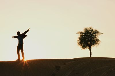 Silhouette of trees at sunset