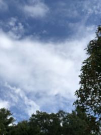 Low angle view of trees against cloudy sky