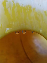 Detail shot of water drops on fruit