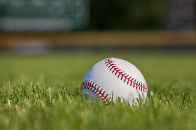 Close-up of baseball on field