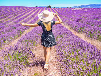 Close up of a young girl with a hat on her head between lavender in southern provence valensole 